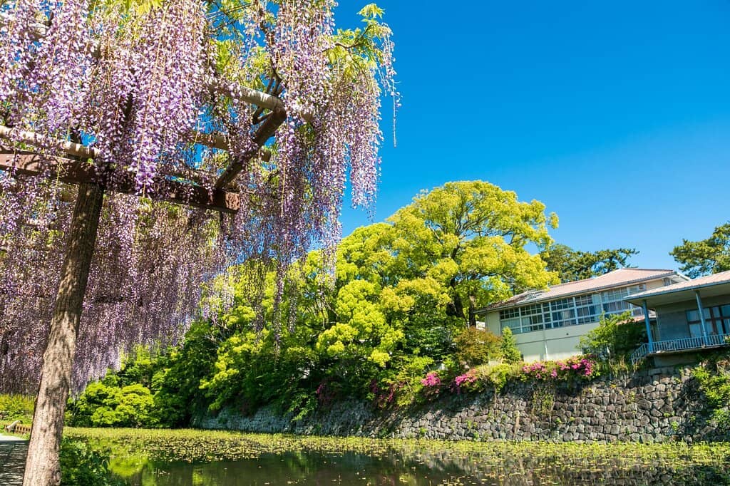 Castle Grounds and Moat