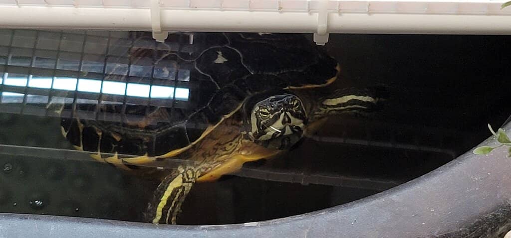 Captain John Smith Exploration Exhibit