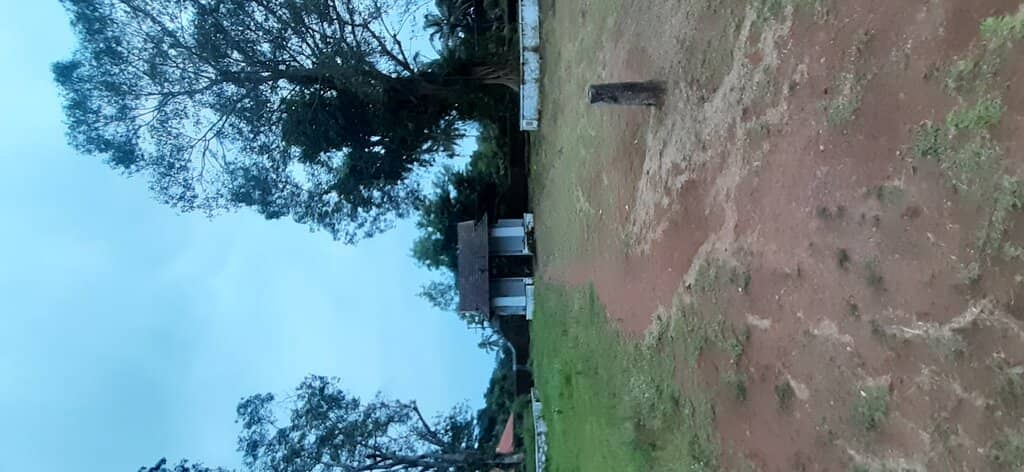 Intricate Wooden Sculptures