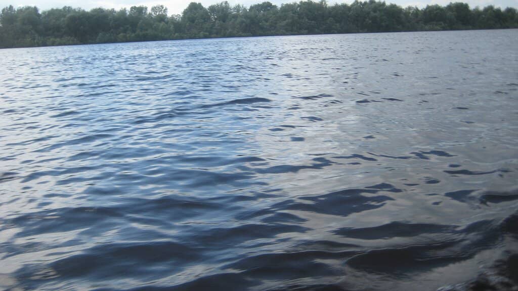 River Confluence Views