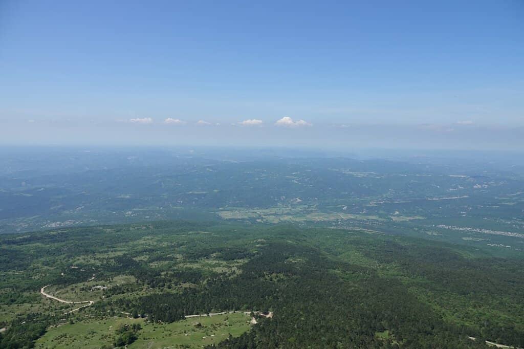 Forested Hiking Trails