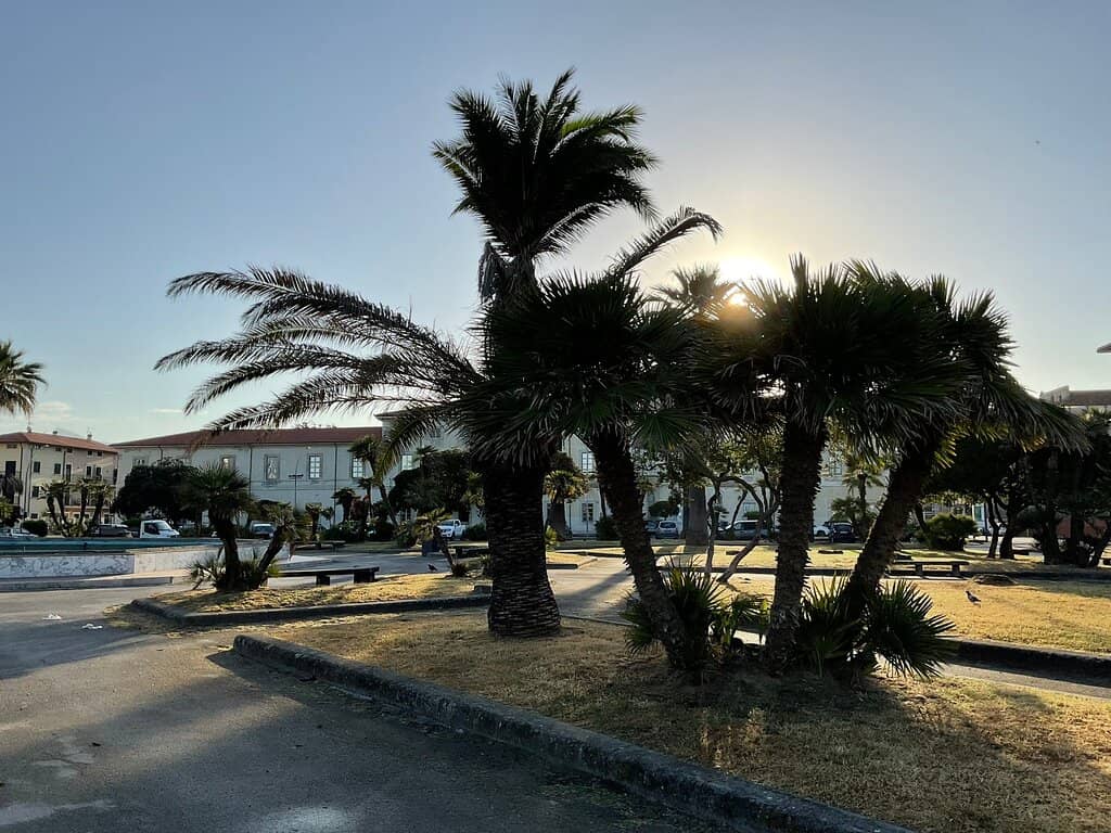 Vertical photo