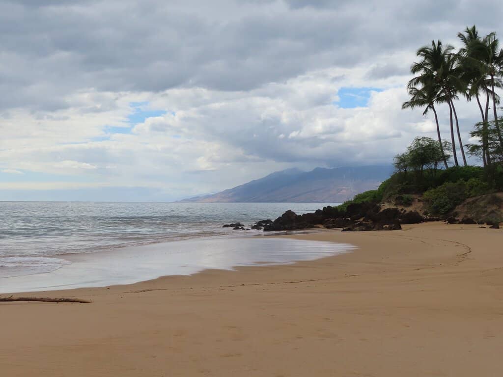 Rocky Point Snorkeling