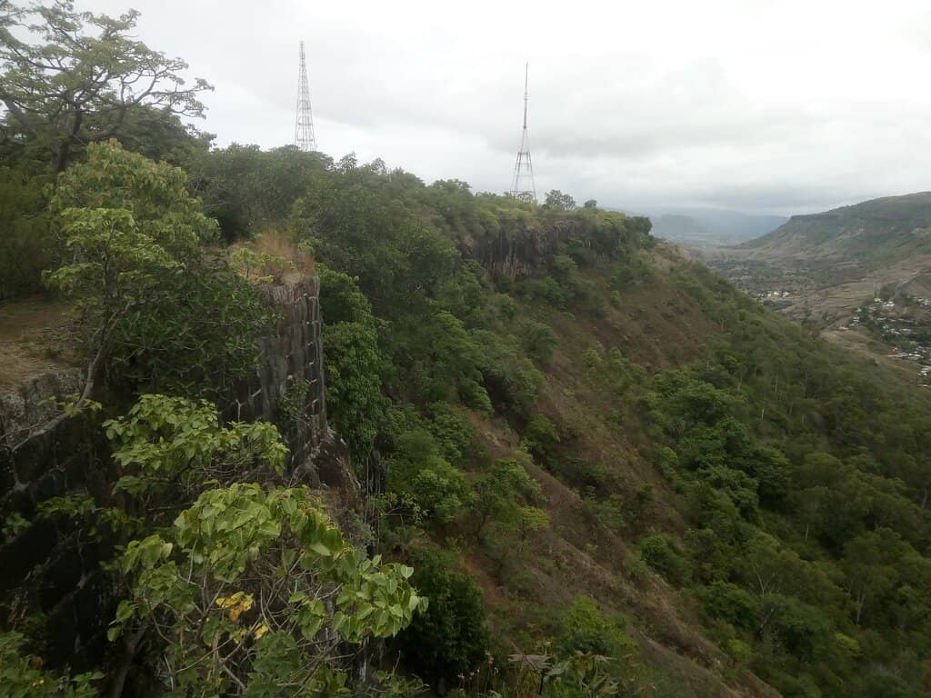 Monsoon Mist & Greenery
