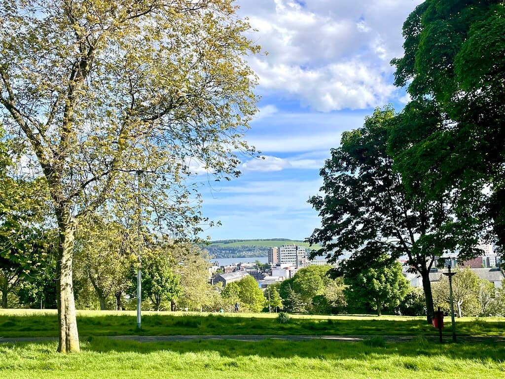 Playground & Skate Park
