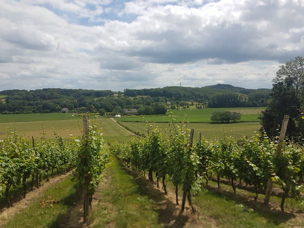 Gezicht op Hoeve Nekum en de St. Pietersberg vanaf de Apostelhoeve