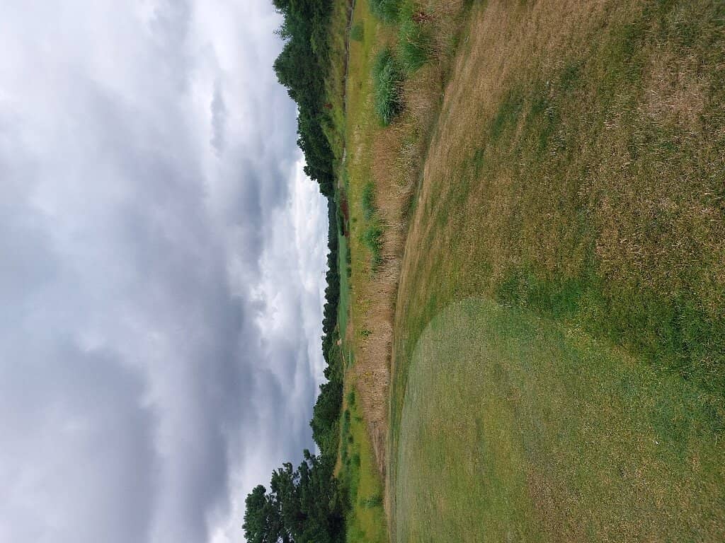 Challenging Greens