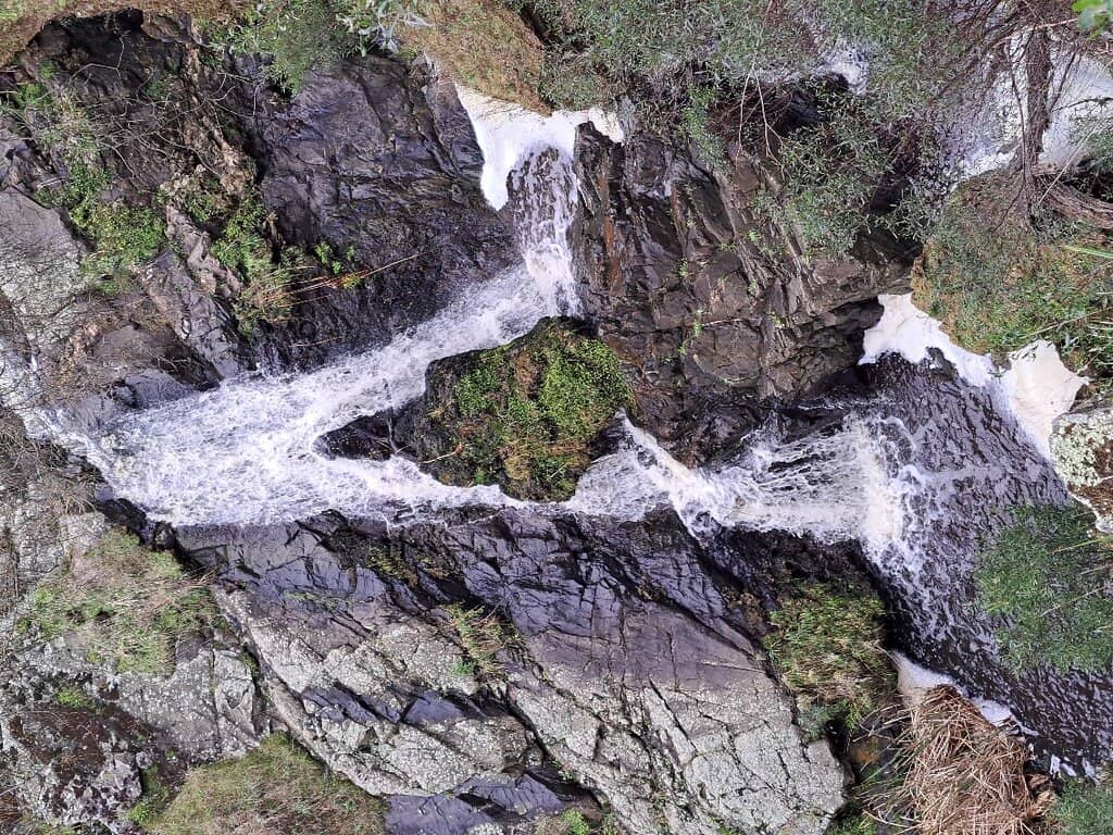 Vertical photo