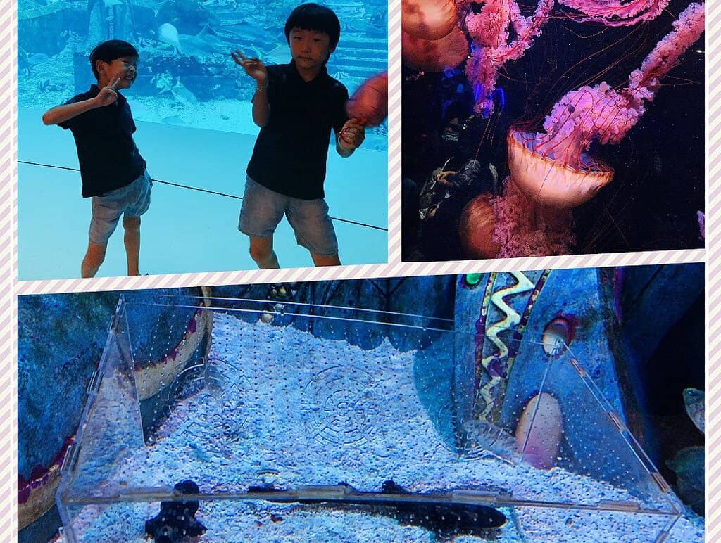 Aqua Venture Waterpark