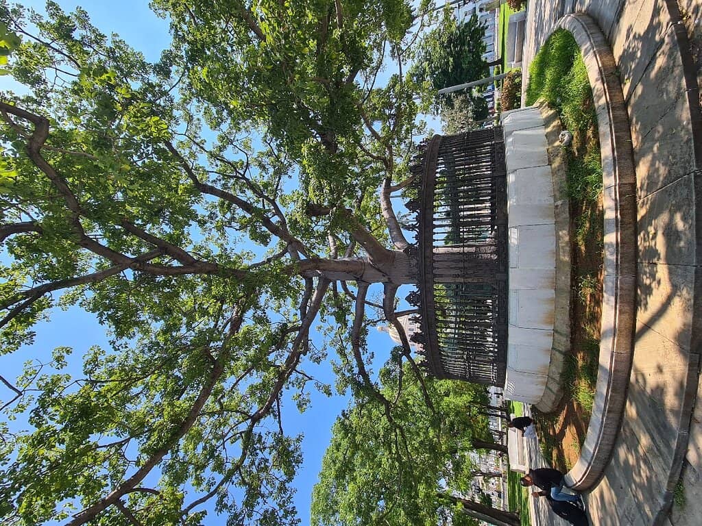 Vertical photo