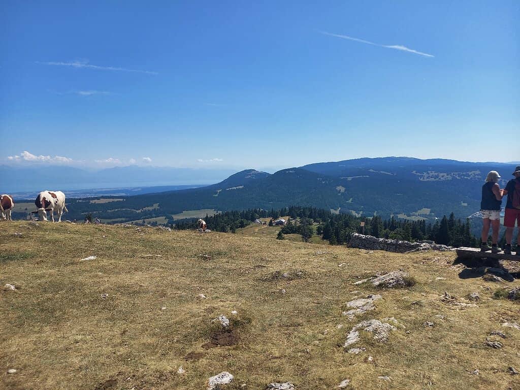 Scenic Hiking Trails