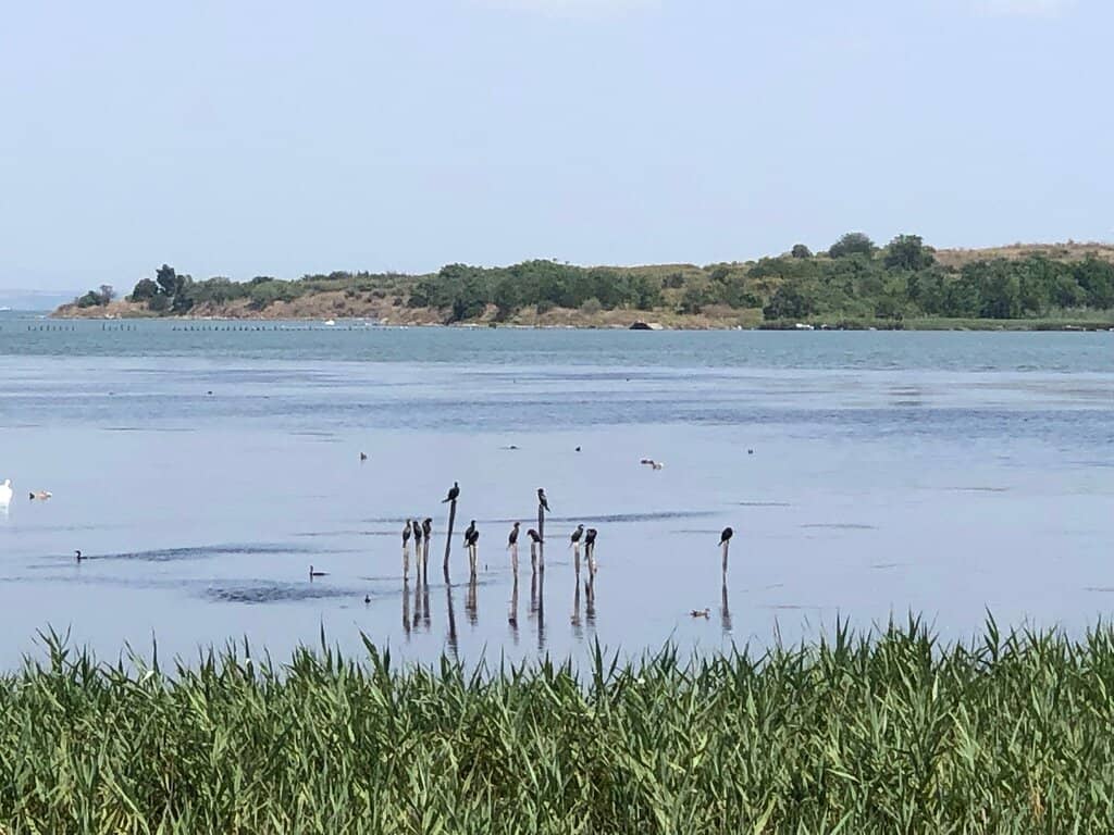 Peaceful Nature Escape