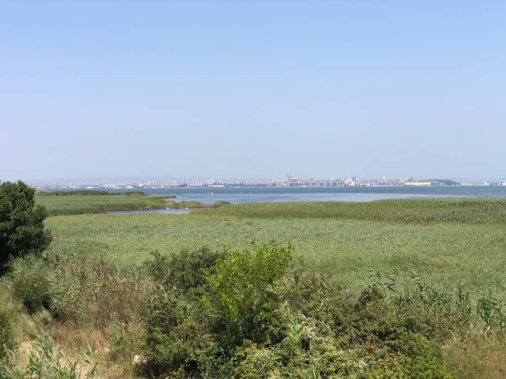 Bird Photography Opportunities