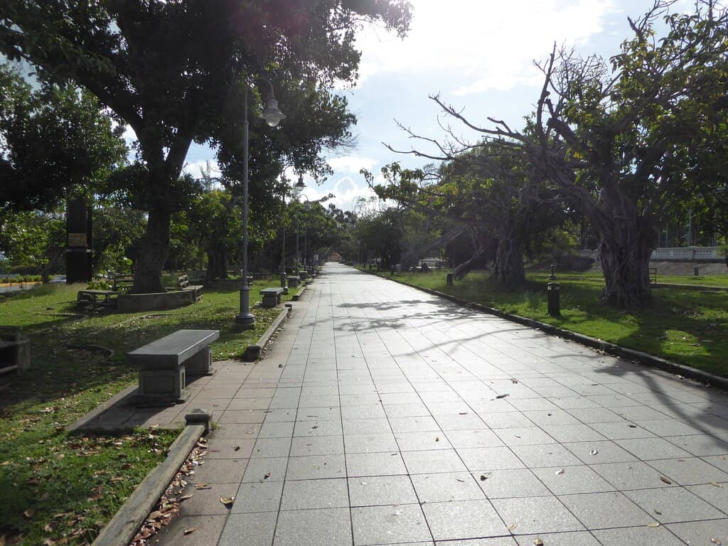 Community Gatherings