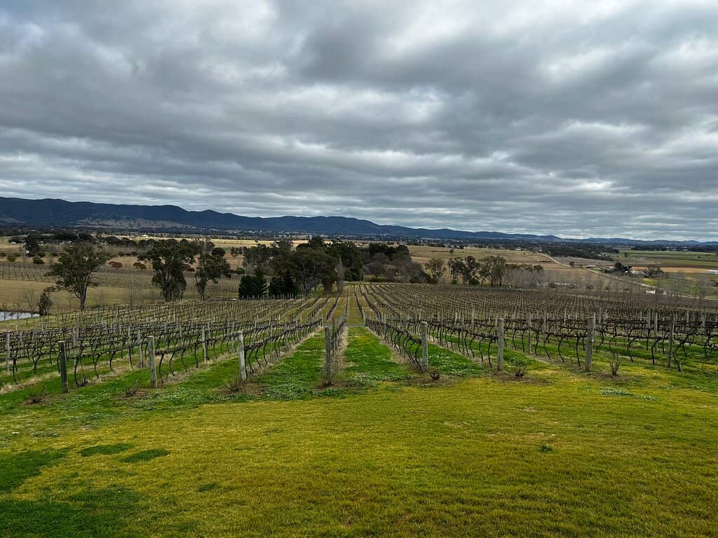 Italian Varietal Wines