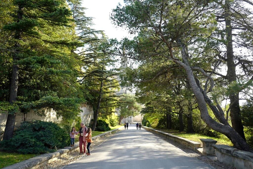 Landscaped Gardens
