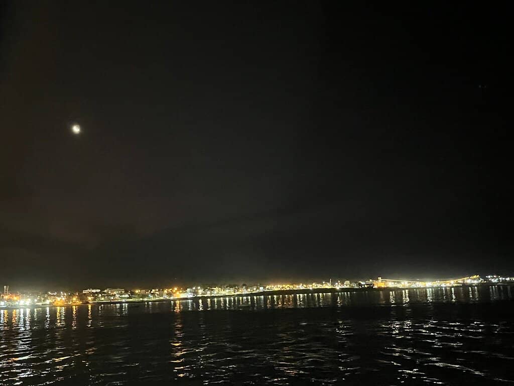 Whale Franca Austral Gigantography