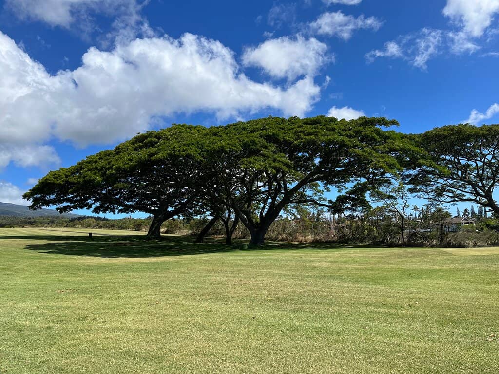 Driving Range Experience
