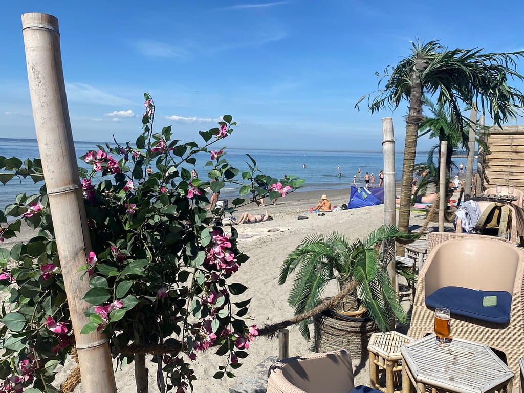 Tropical Beach