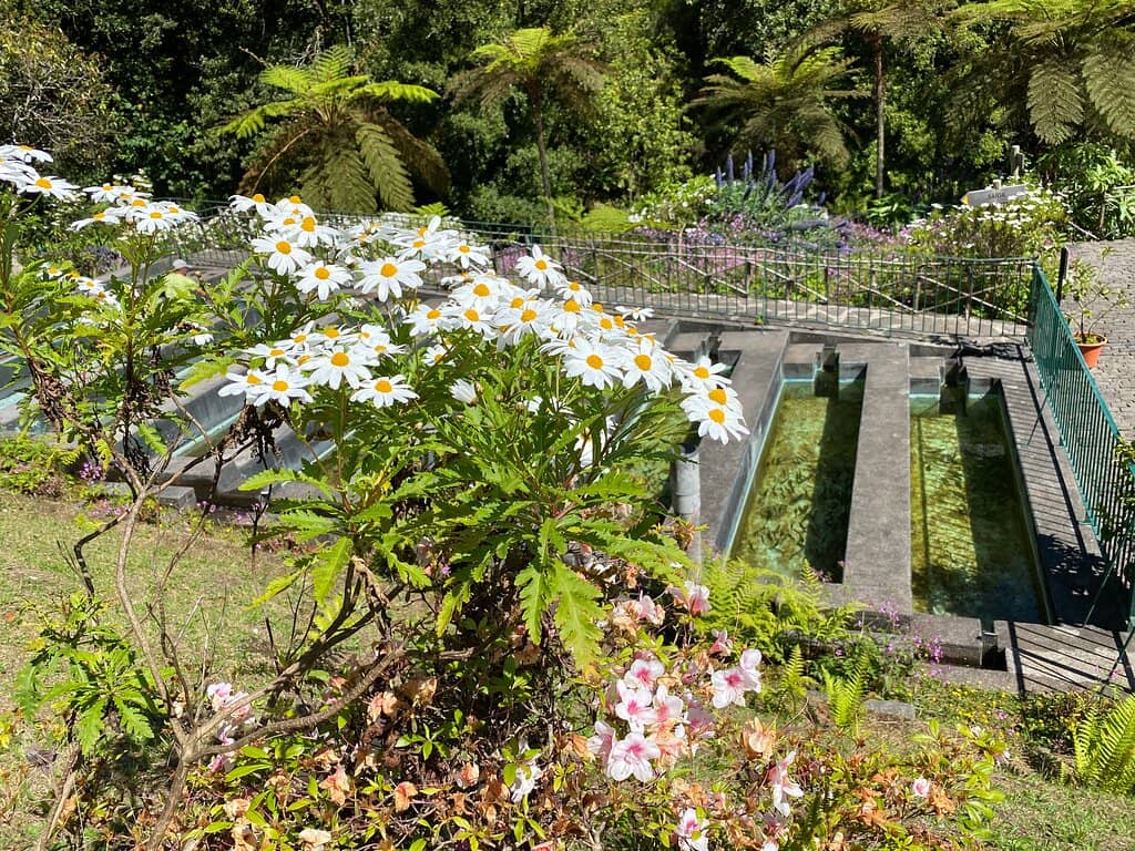Trout Pools