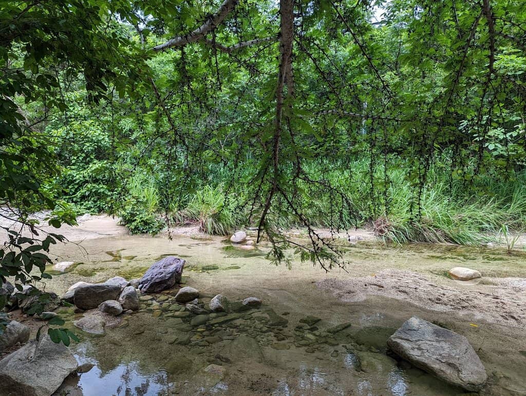 Upper Palo María Falls