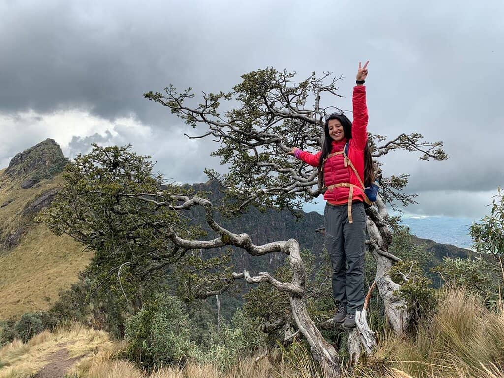 Panoramic Summit Views