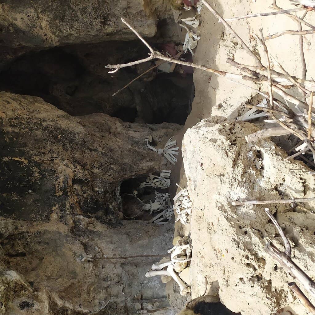 Interactive Stone Age Activities