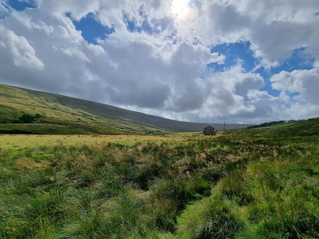Snaizeholme Red Squirrel Trail