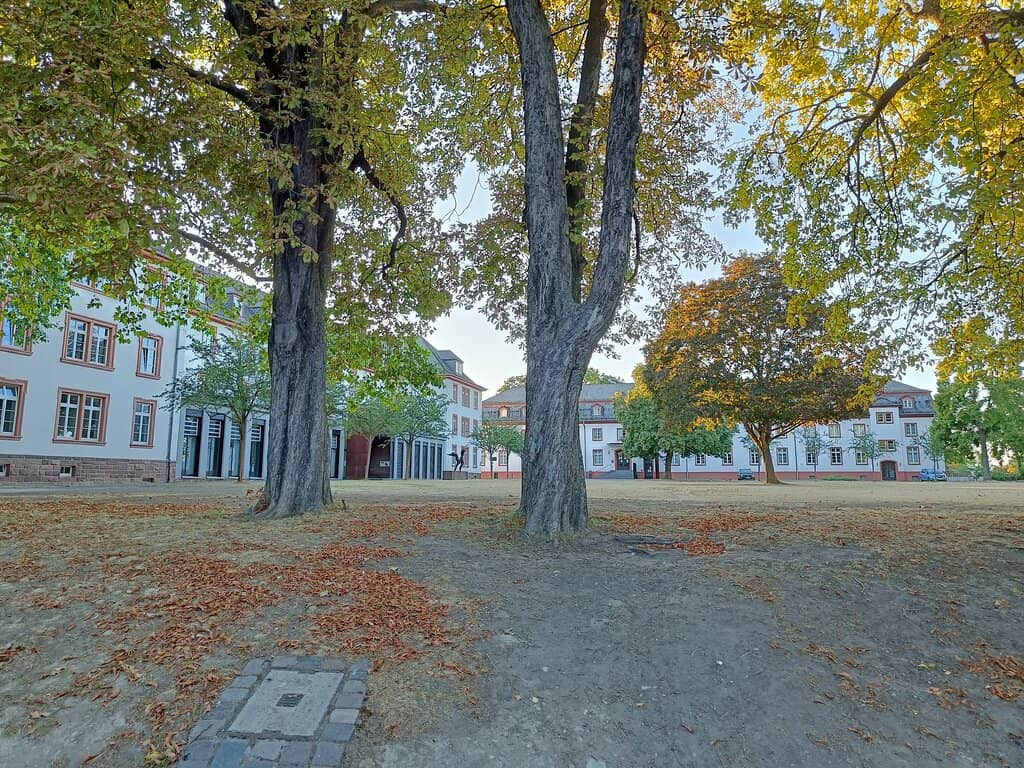 Event Grounds