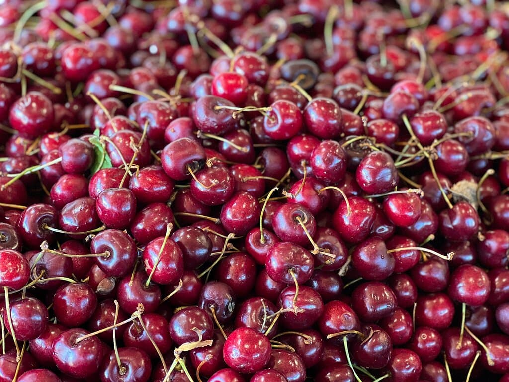 Okanagan’s finest Cherry selection