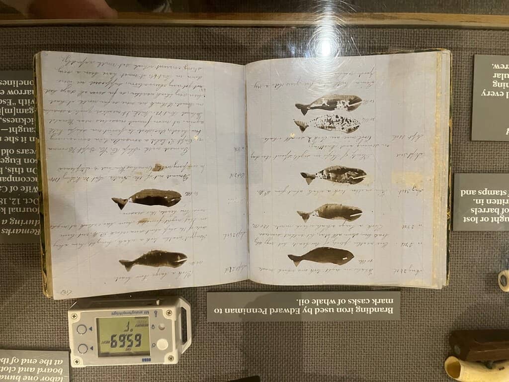 Junior Ranger Program