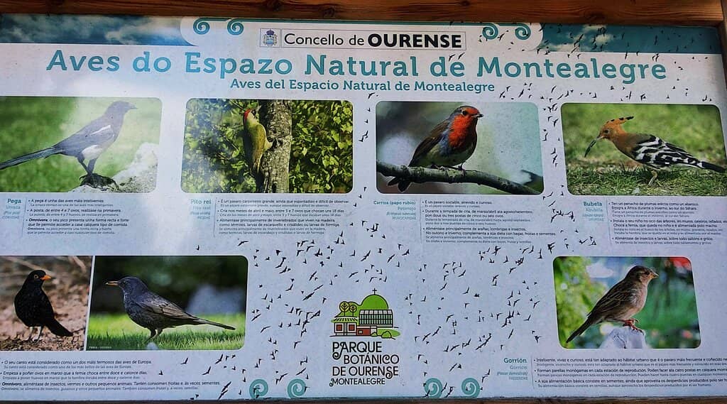 Peaceful Walking Paths