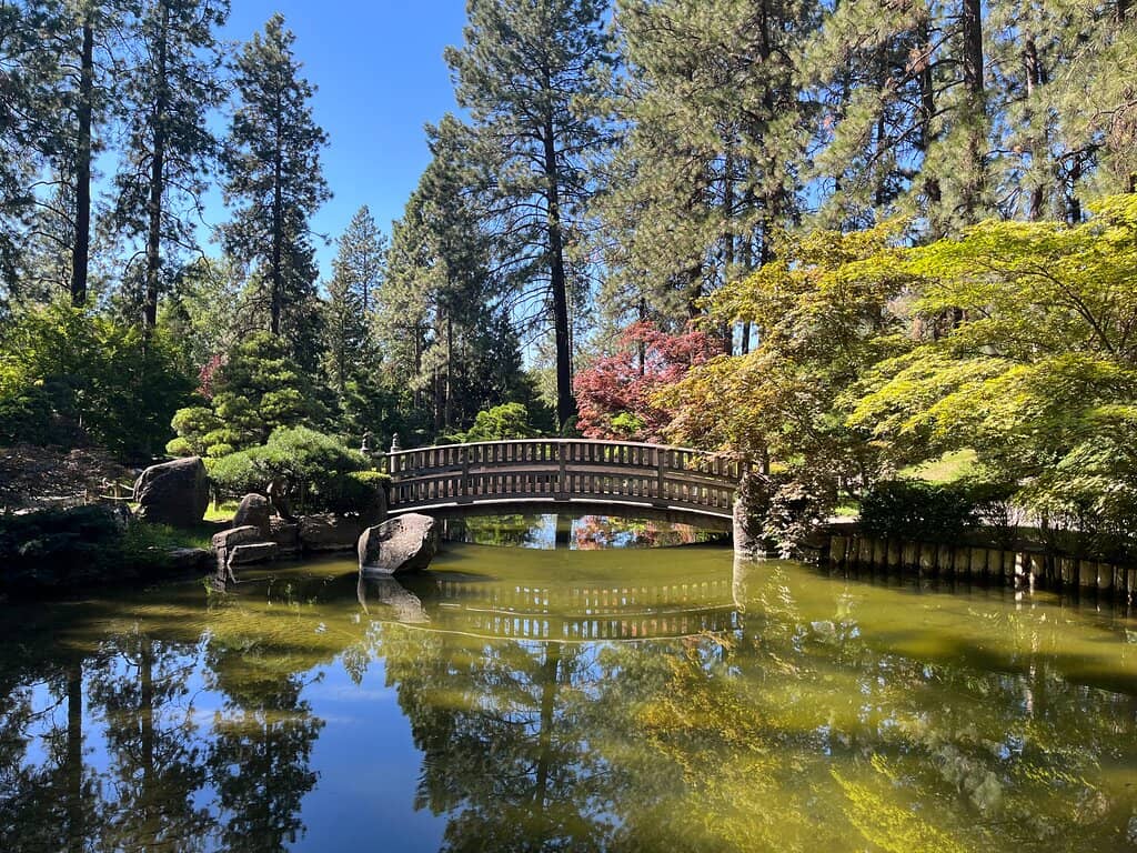 Koi Pond