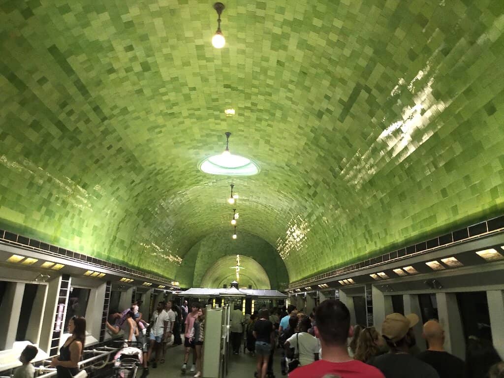 The 'Liquid Zoo' Experience