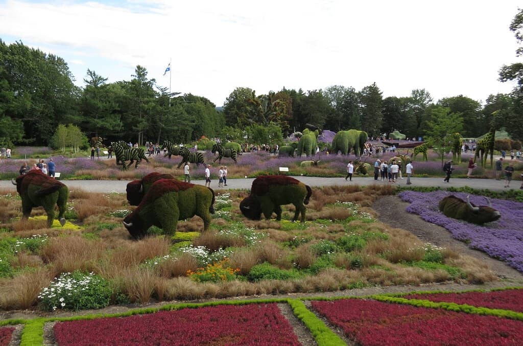 Scenic Walking Paths