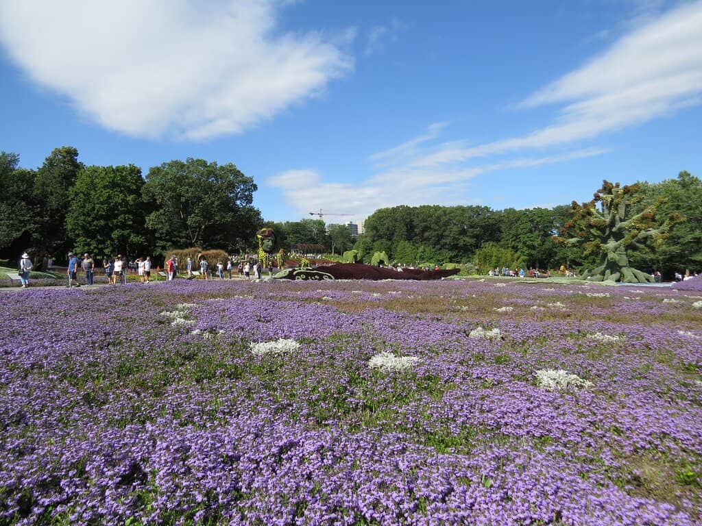 Mosaïcultures Floral Sculptures