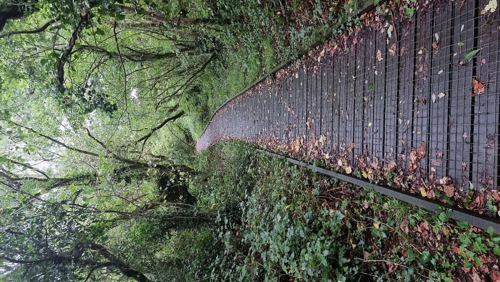 Dunsdon National Nature Reserve