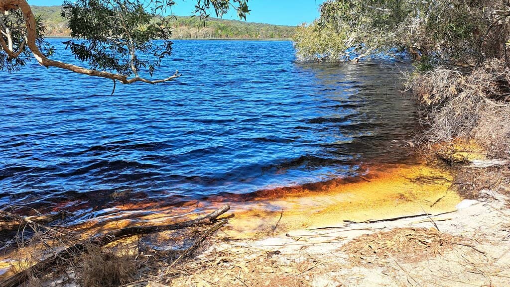Tranquil Swimming & Relaxation