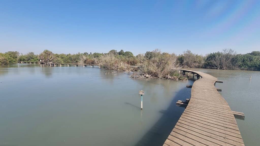 Wetland Boardwalks