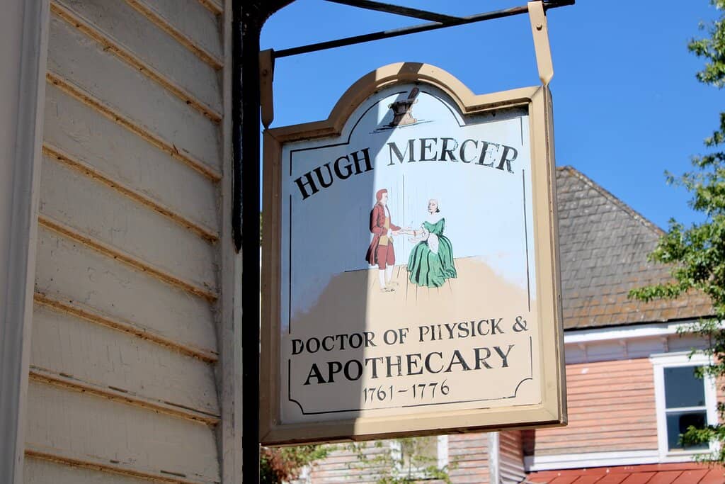 Charming Back Garden