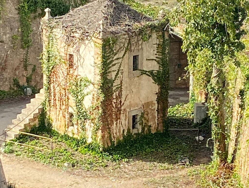 Parque de Luísa Todi