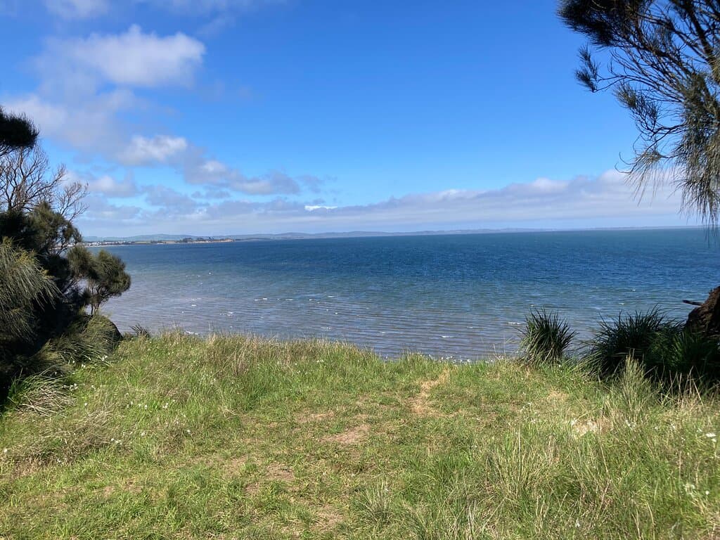 Beautiful view and plenty of spots for pincnic