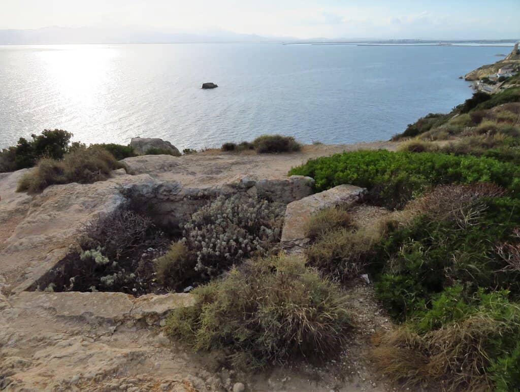 Friendly Feline Residents