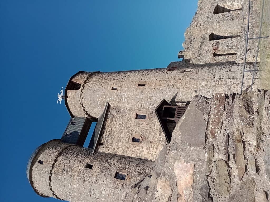 Family and Pet-Friendly Grounds