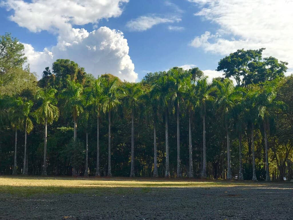 Mirante da Pedra Grande