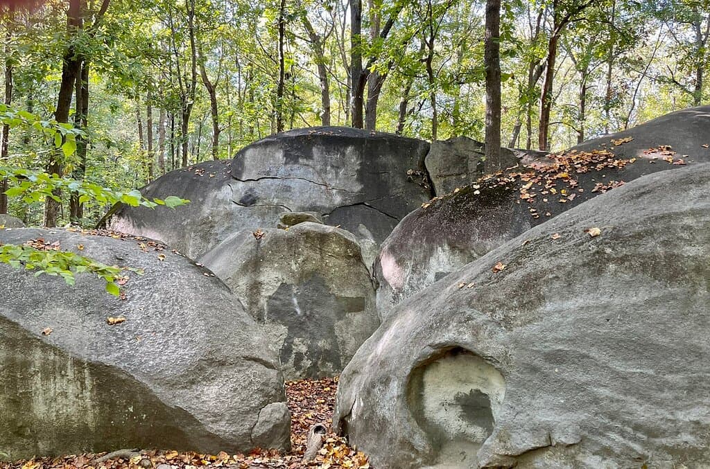 Big Rock Nature Preserve