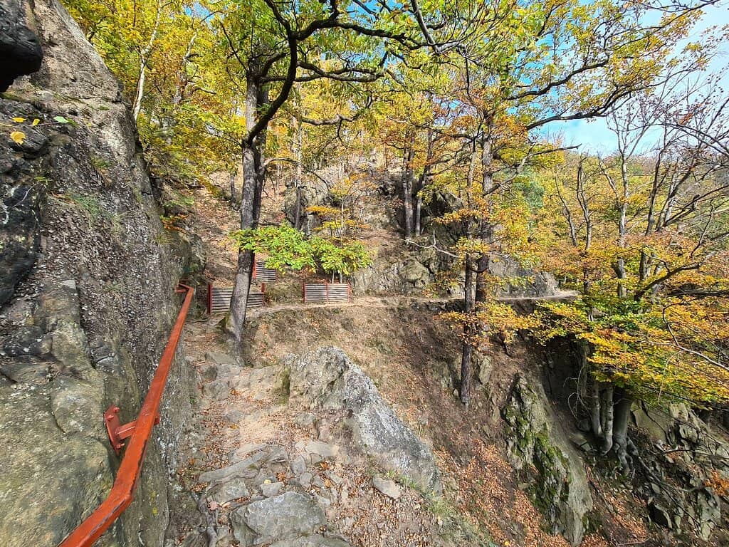Scenic Park Trails