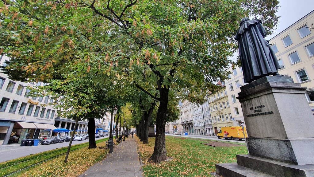 Green Oasis in the City