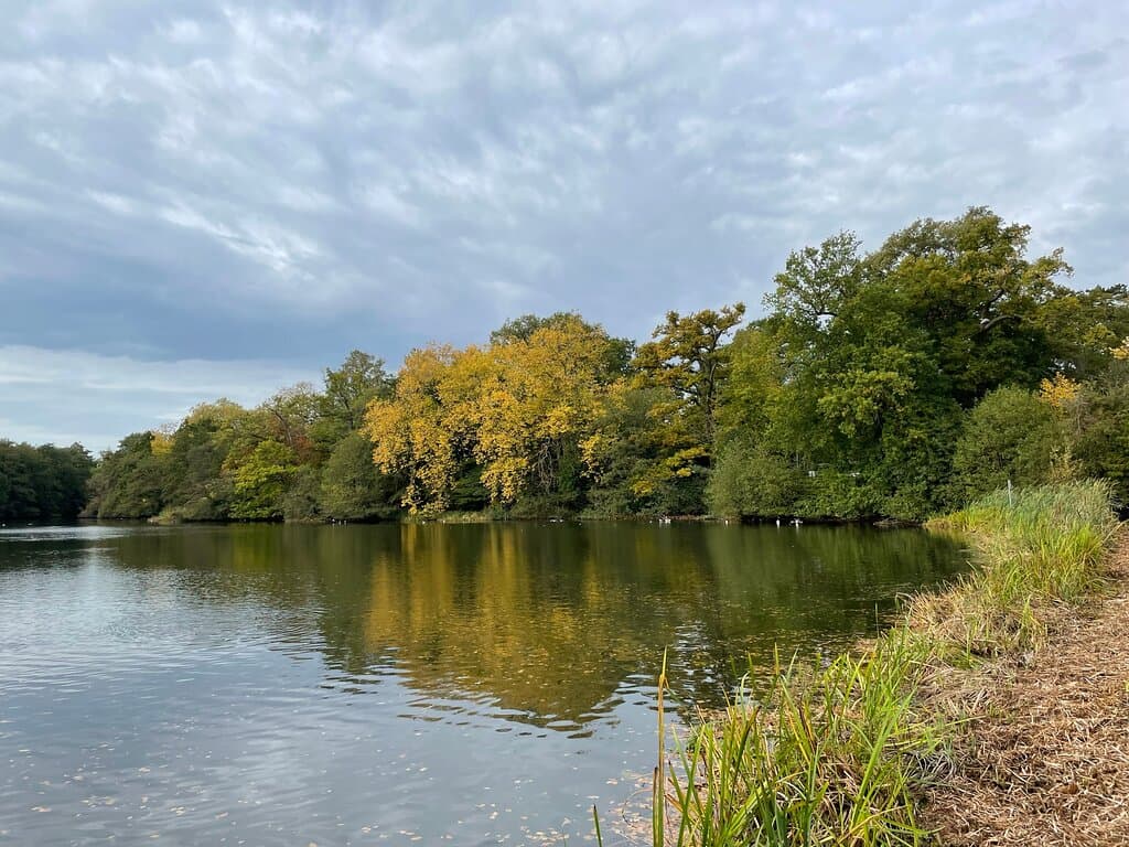 University of Reading Whiteknights Campus