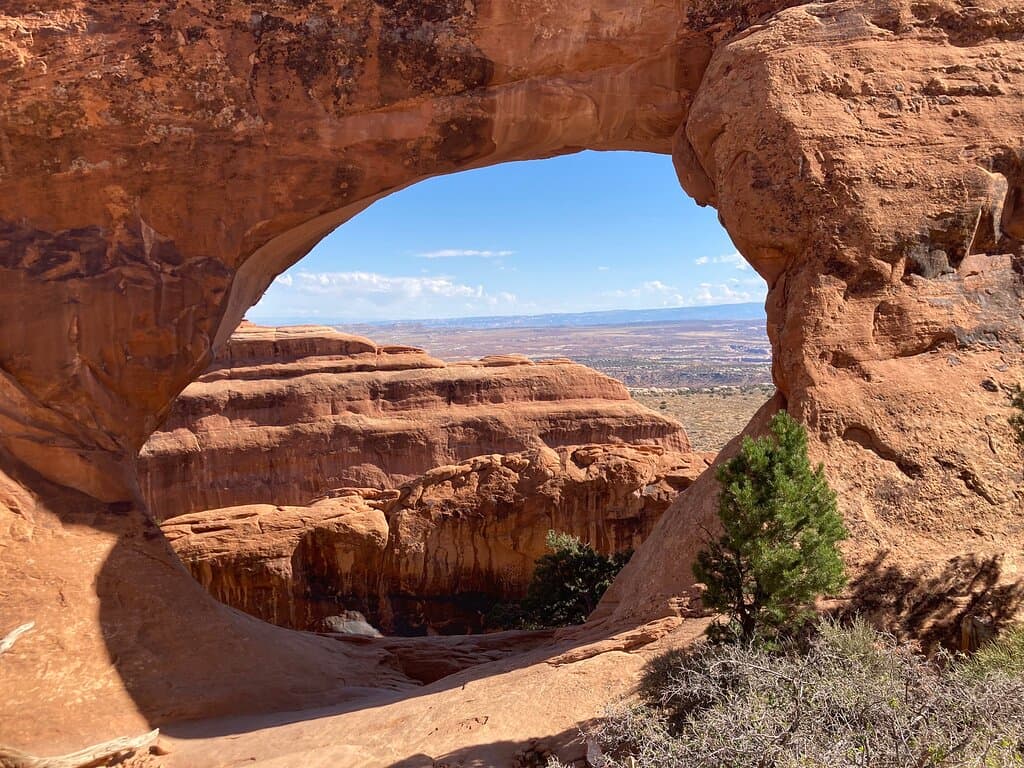 Partition Arch